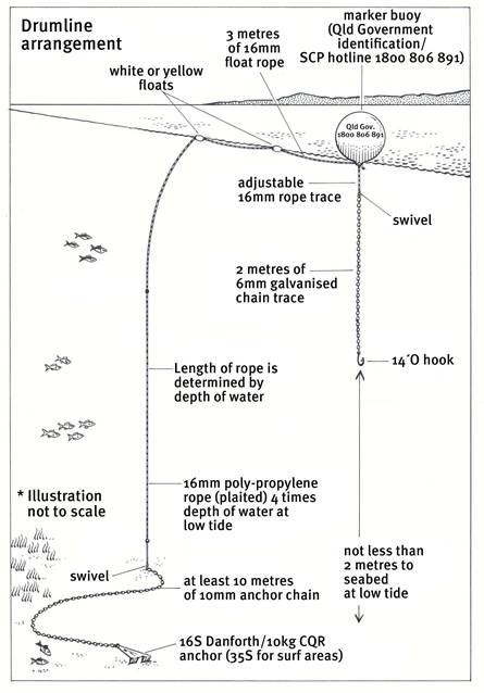 Figure 3.3: Use of drum lines under the Queensland Shark Control Program