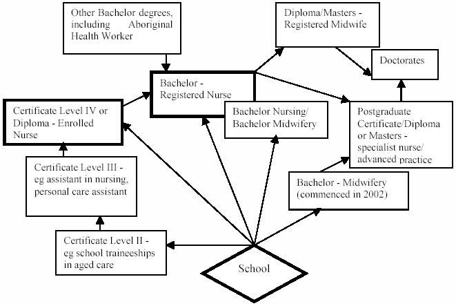 Figure 3.1:Articulation pathways for those currently involved in nursing work