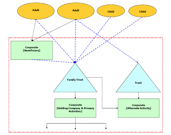 Figure 6.2: Family trusts and the family group