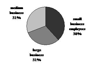 Figure 2—Employees only: small, medium and large business