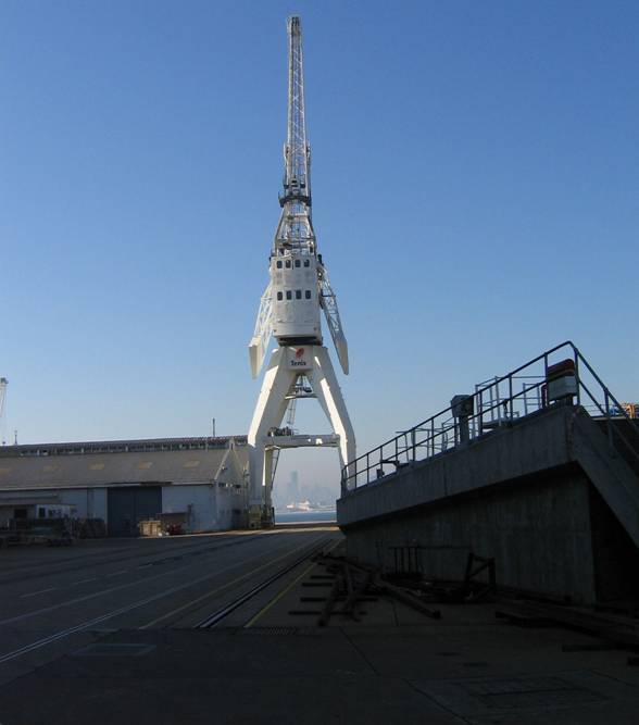 The Tenix Williamstown 64 tonne slipway crane